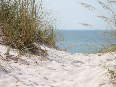 Oceanfront Homes callout